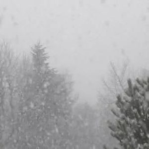 Meet your Posher, Sherri